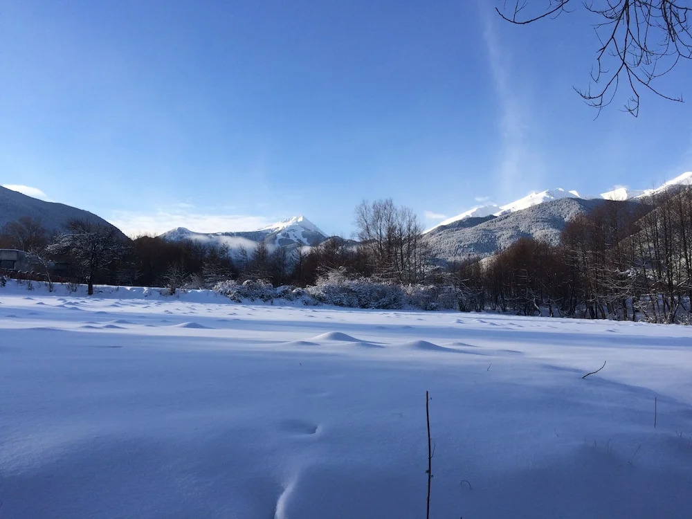 Apartments Four Leaf Clover Bansko to rent