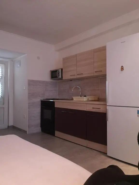 Apartments Govic