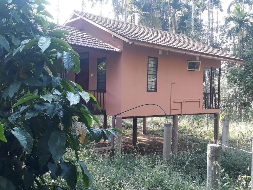 family huts