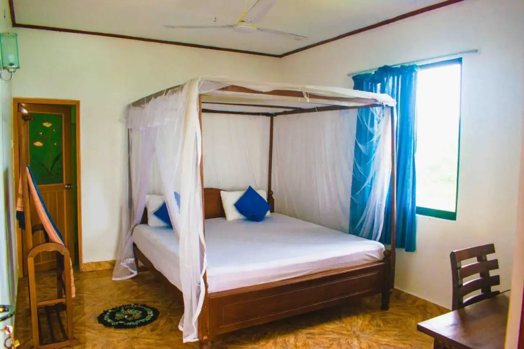 Surf Paradise & Cabana