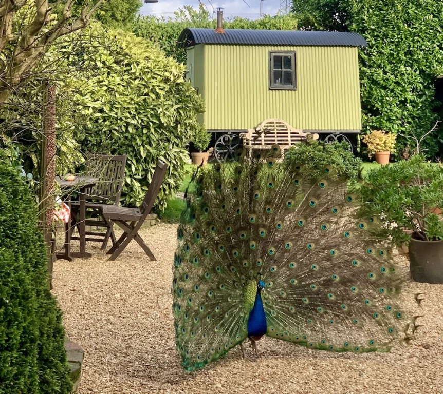 Ingoldfield Accommodation