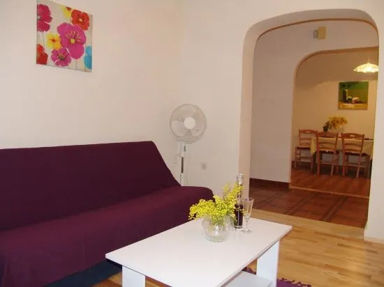 Apartment Viki