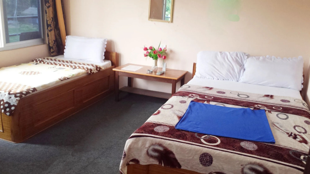 Hotel National Park Sauraha- Homely Stay and Peaceful Location with Jungle Safari arrangements