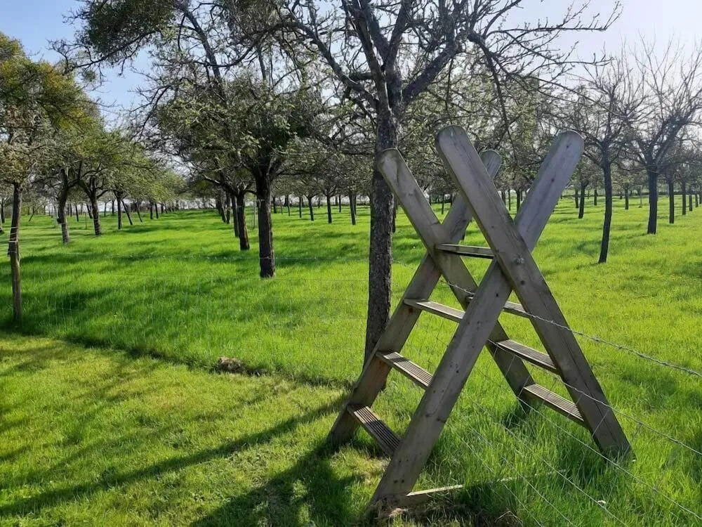 Orchard Farm Luxury Glamping