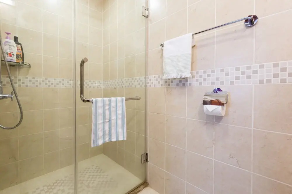 The Manor Luxury 1BR Apartment Center