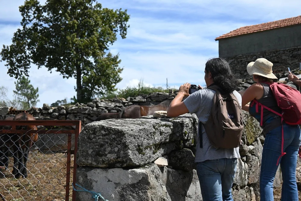 Peneda ecofarm