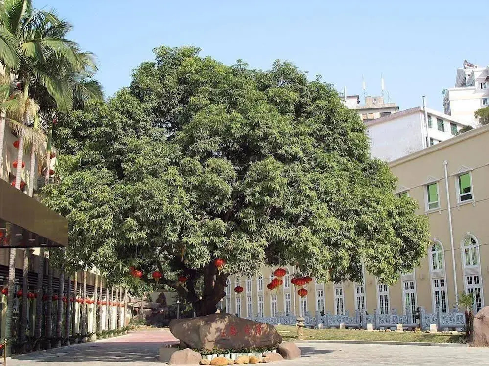 Xiamen Heyijia Garden Hotel