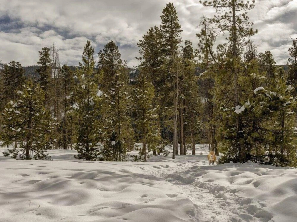 Snake River Village 3 Bedroom Apartment by Key to the Rockies