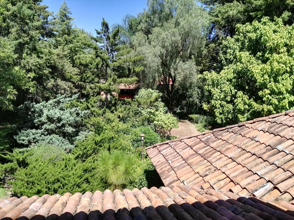 Cabaña Pedregal