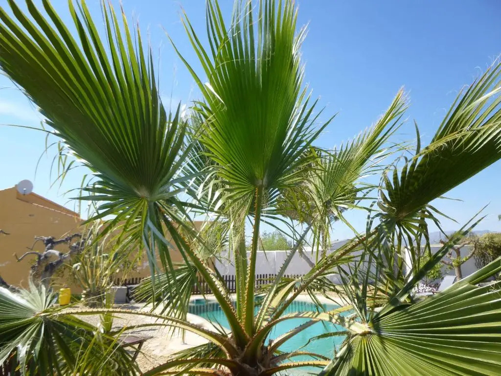 Finca Arboleda