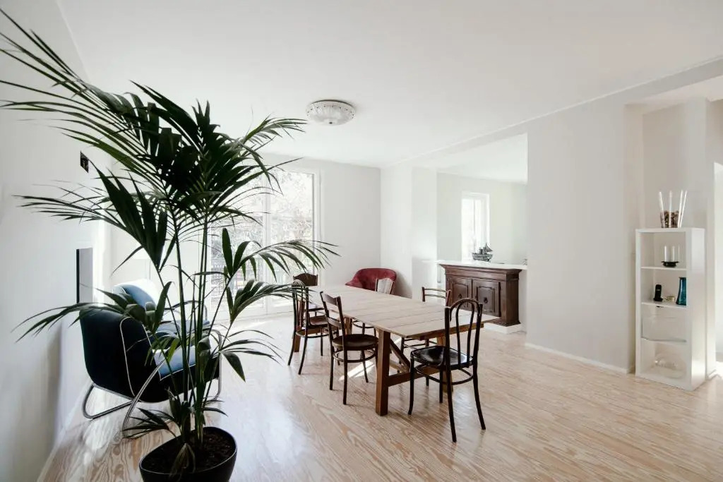 Villa Lina Apartment