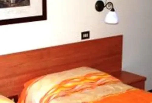 Hotel Delle Alpi