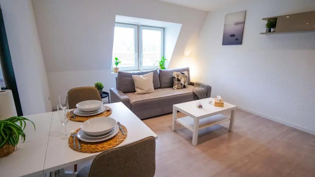 #4 Très beau appartement T3 Neuf, tout confort, Mulhouse centre ville
