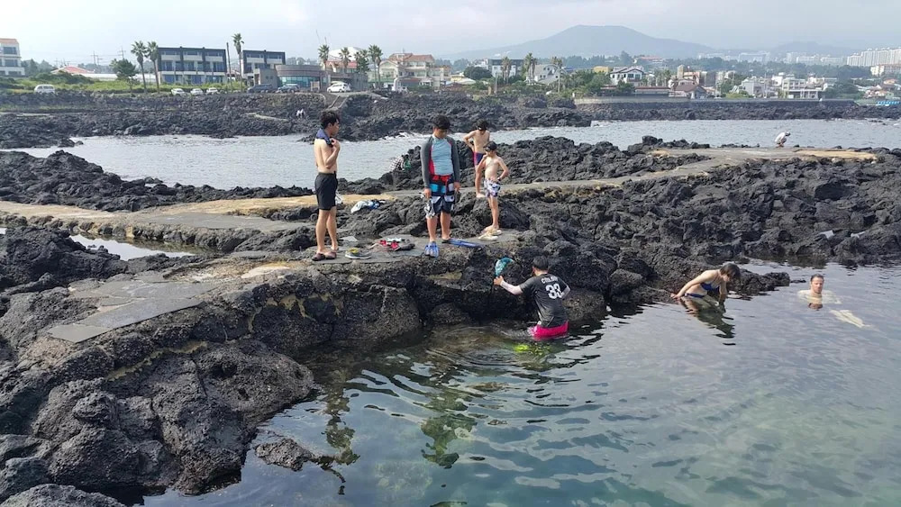 JEJU Amoje