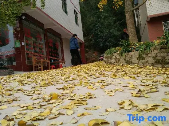Wang Xing Hotel