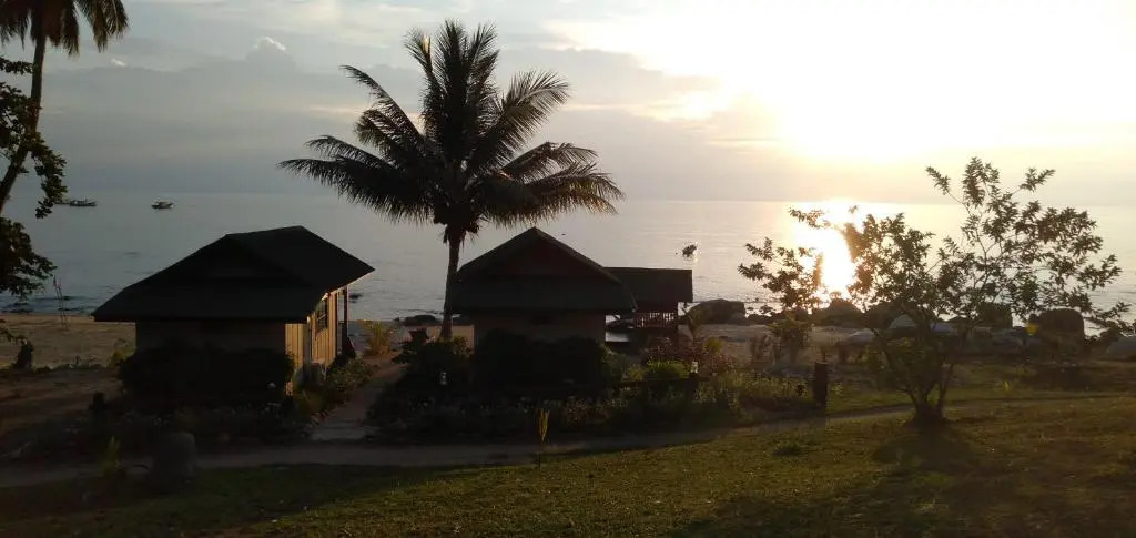 Beach House