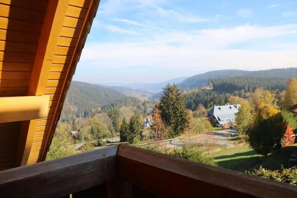 Ferienwohnung Seeblick Nr 3, 2 Zi-Bärental, Feldberg