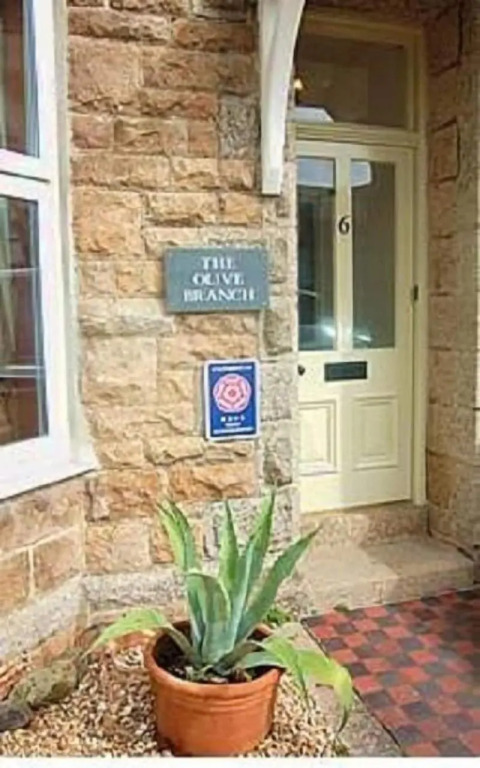 The Olive Branch