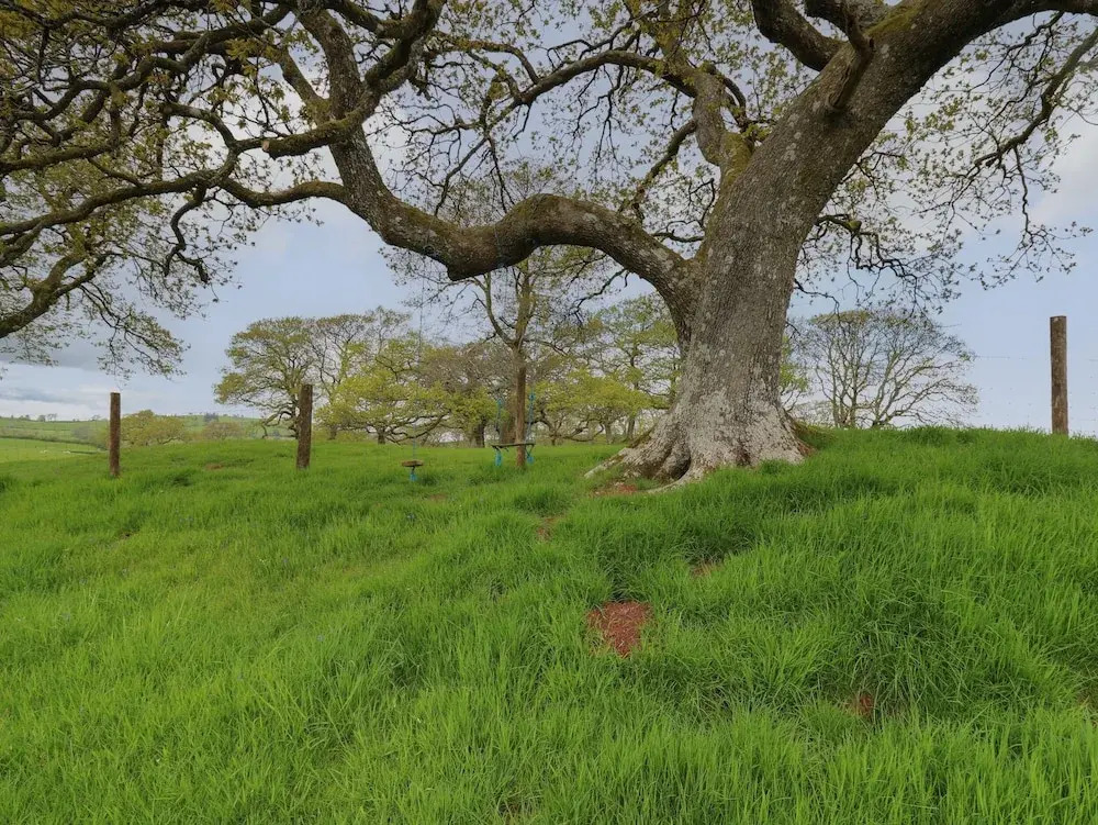 Wild Acre