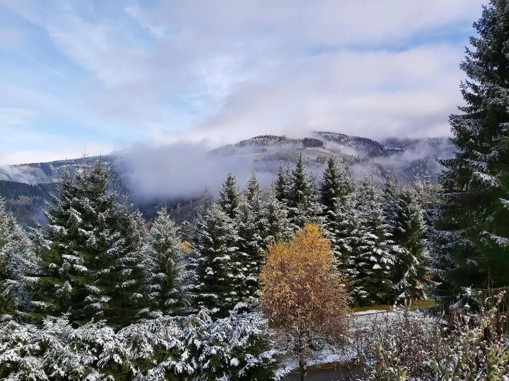 Korlape Apartman 4.2