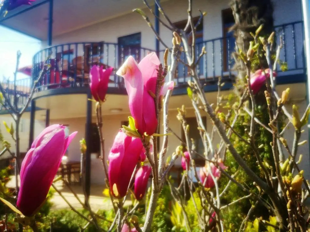 Hostel Sadu Kutaisi