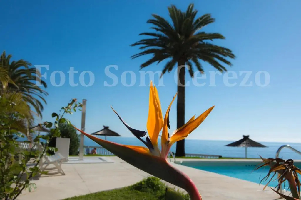 Acapulco playa Nerja 407 planta superior