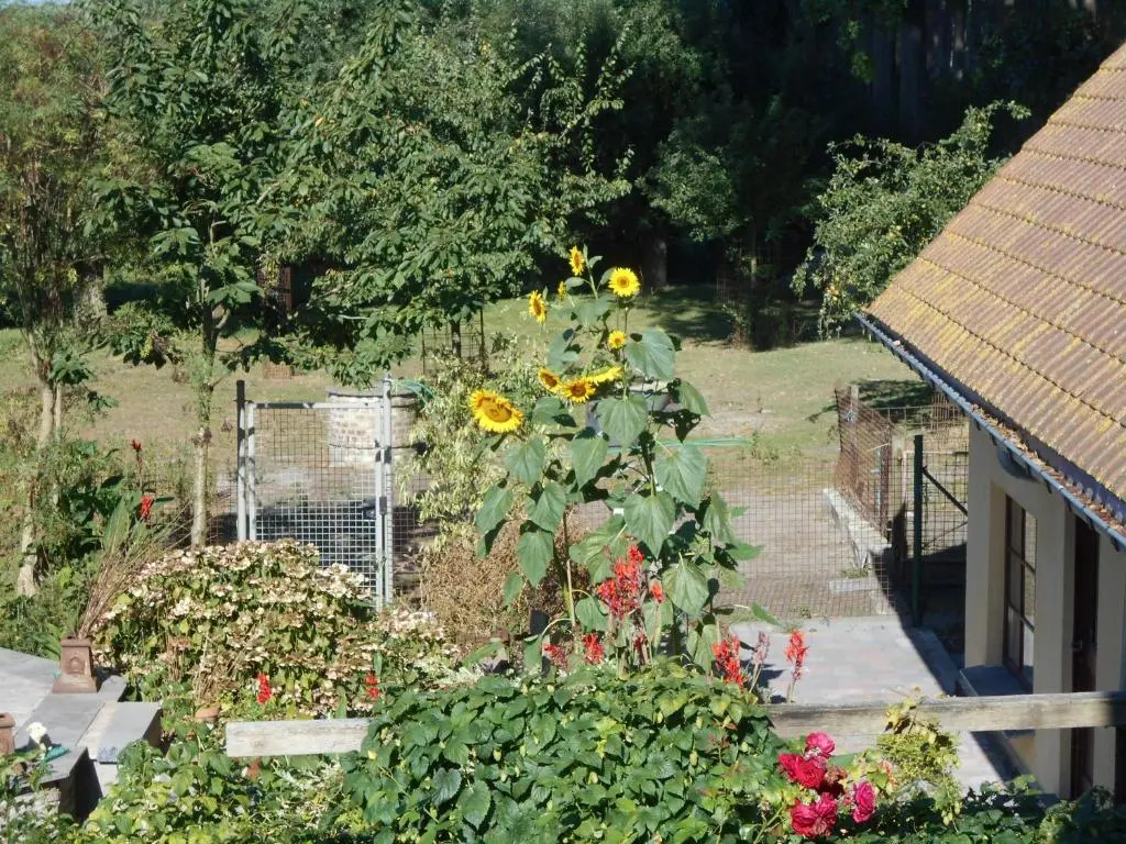Vandenstampershoek B&B