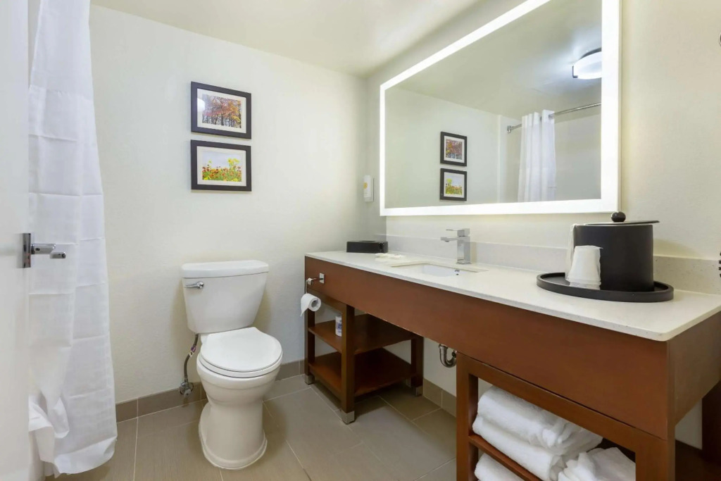 Comfort Suites Hanes Mall