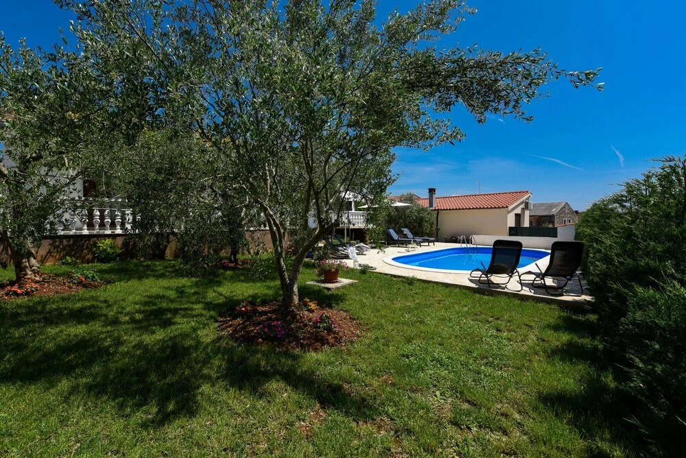 Villa Pine ZadarVillas