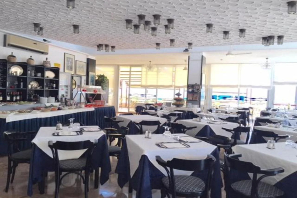 Hotel David