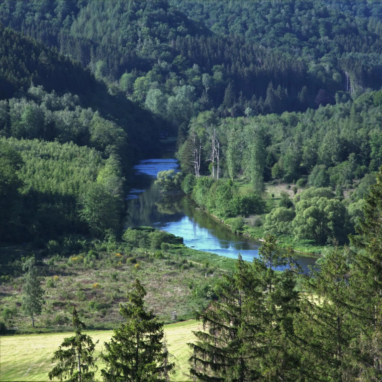 Un logis au 13 Faubourg de France à Bouillon à 50m de la Semois