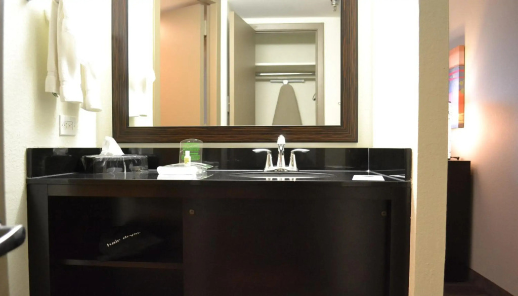 Holiday Inn Houston S - NRG Area - Med Ctr by IHG