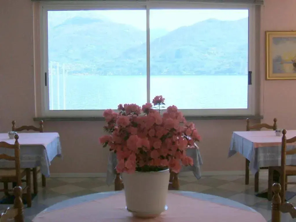 Hotel Garden