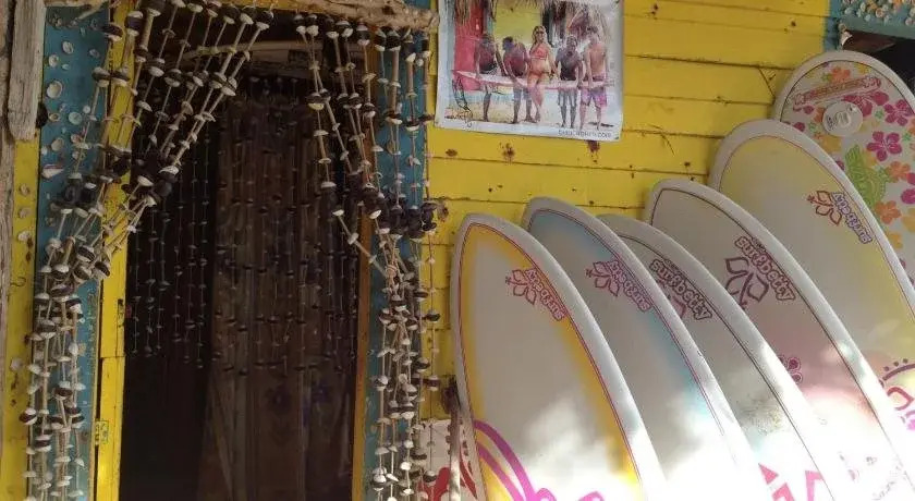 Cabarete Surf Camp