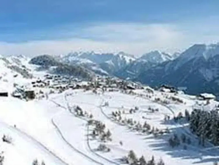 Chalet Marder