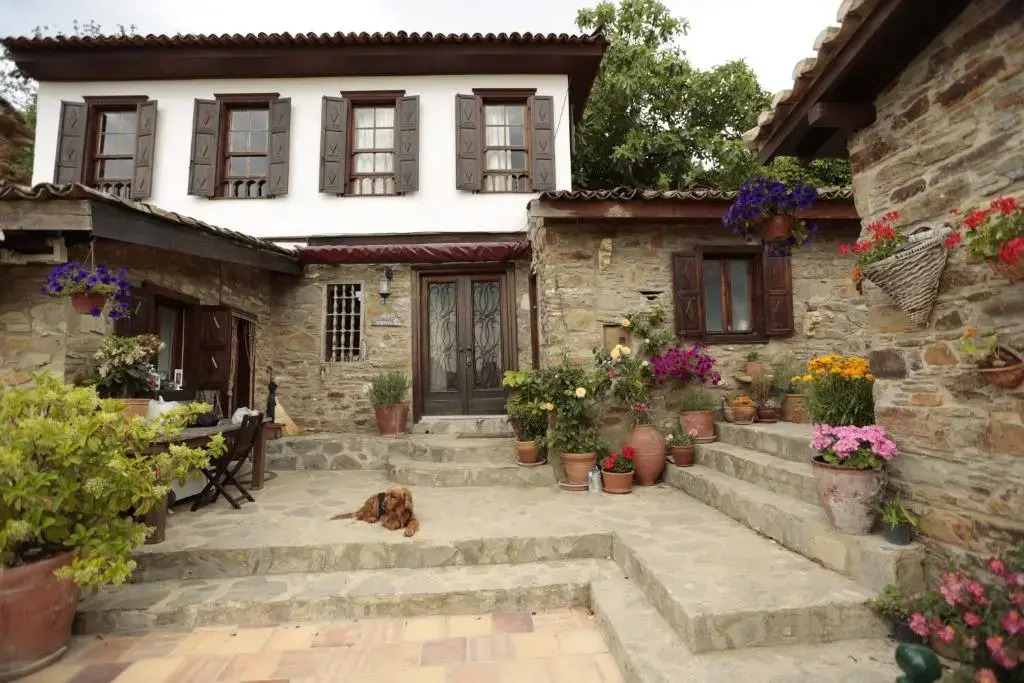 Terrace Houses Sirince - Fig, Olive and Grapevine