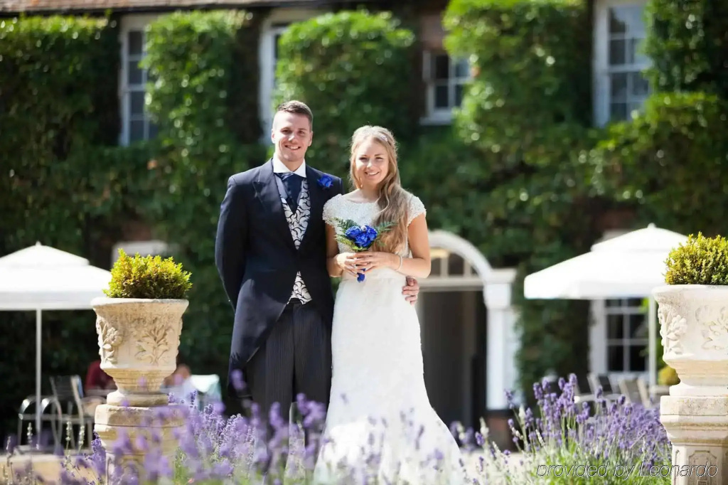 Bush Hotel Farnham