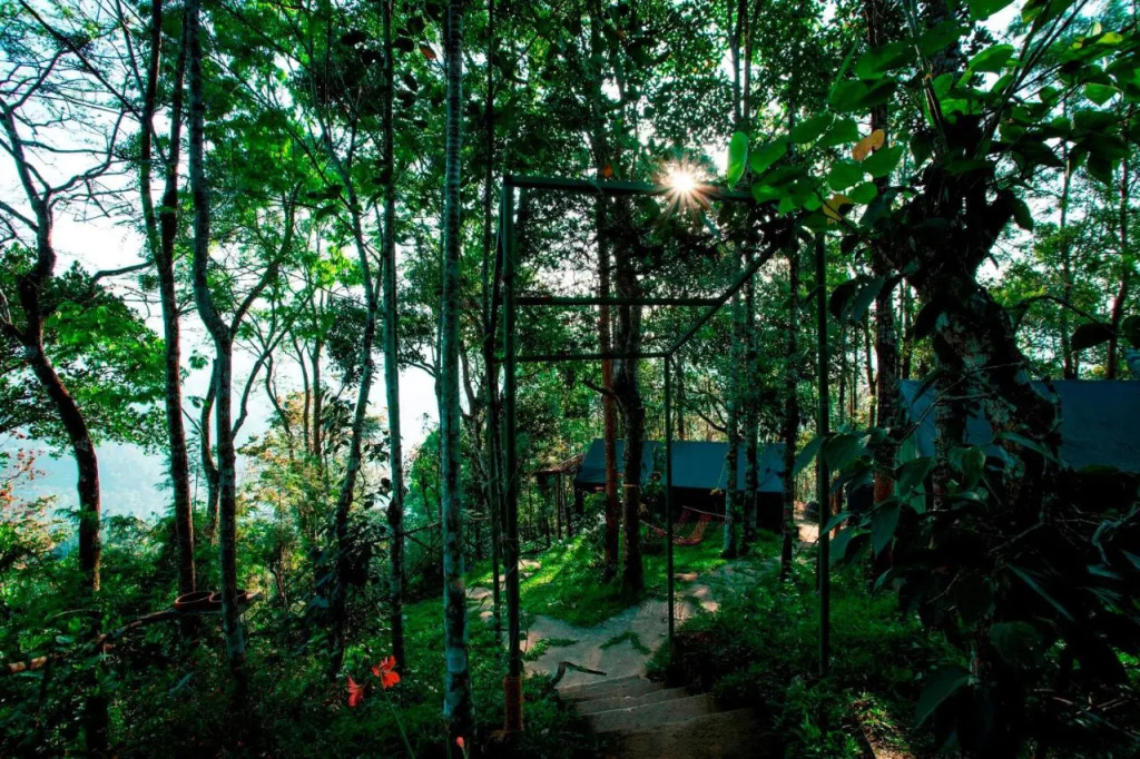 Season7 The Nature Resort - Munnar