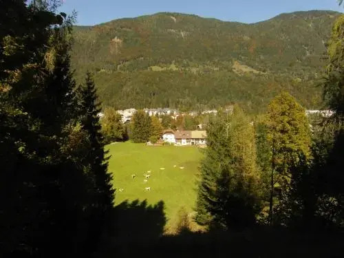 Turistična kmetija Košir