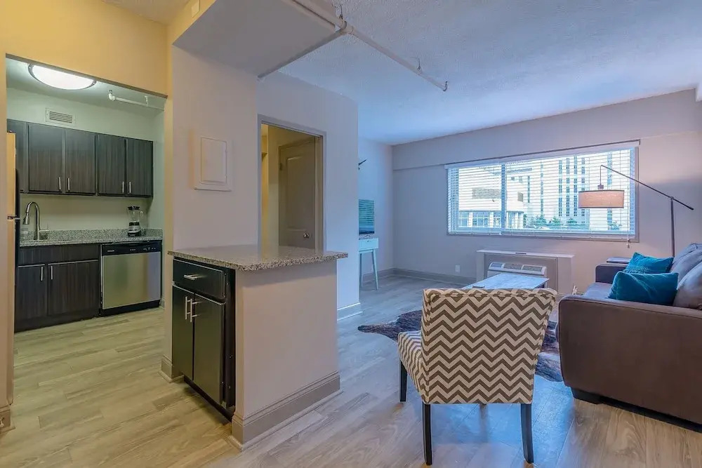 1 Bedroom Downtown Condo
