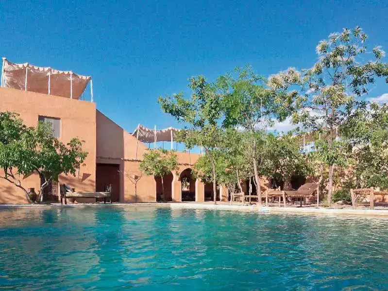 The Retreat Selous