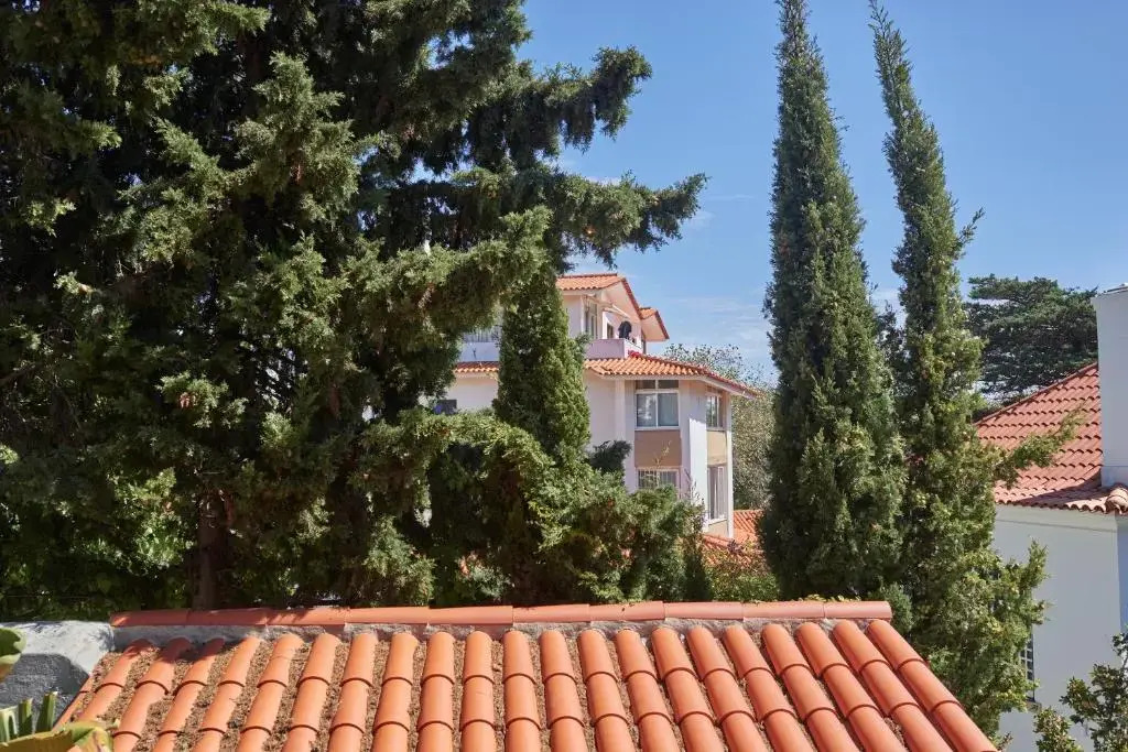 Ljmonade Hostel