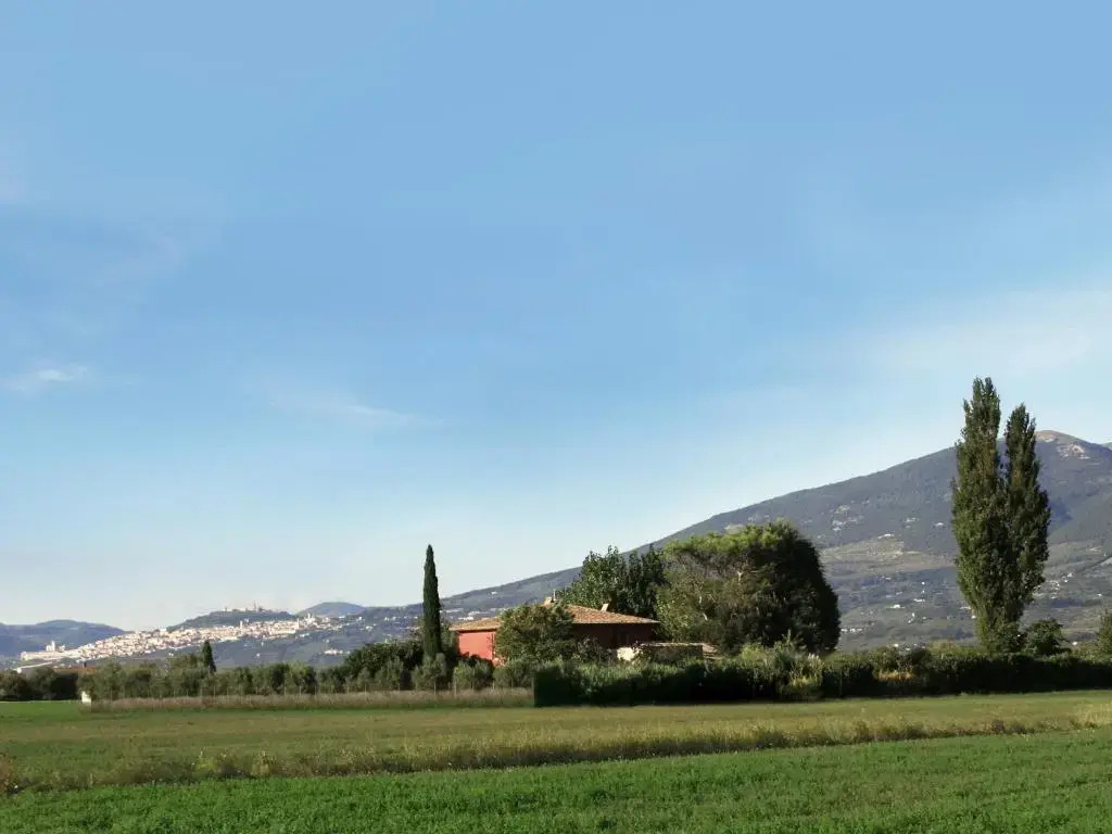 Monaldesca