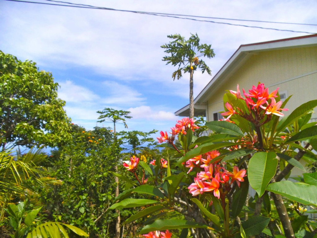 Bears Place Guest House