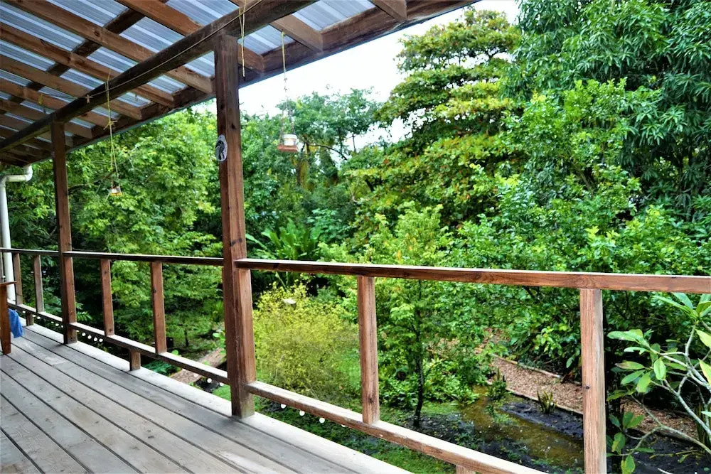 Treetop Cottage Escape in Tropical Garden Near San Ignacio