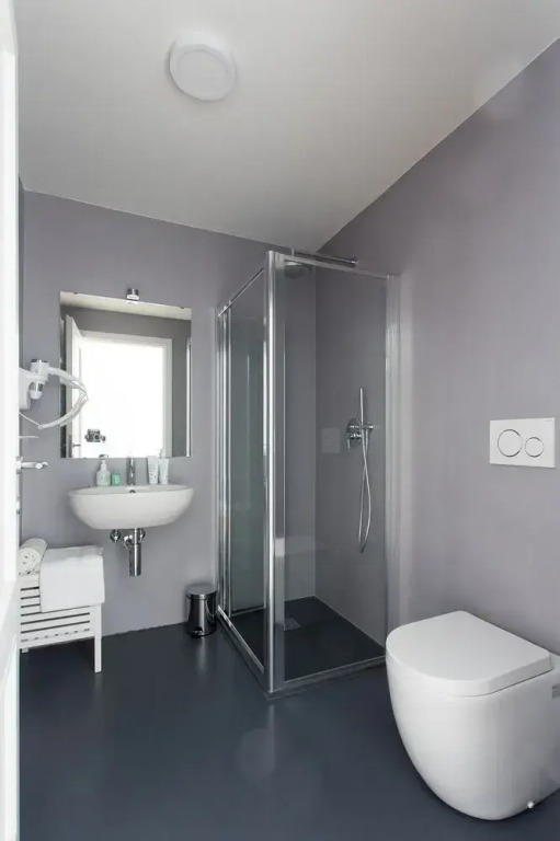Rapanus Suites