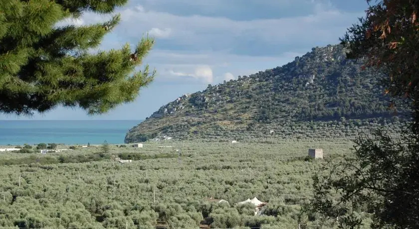 Antico Pagliaio