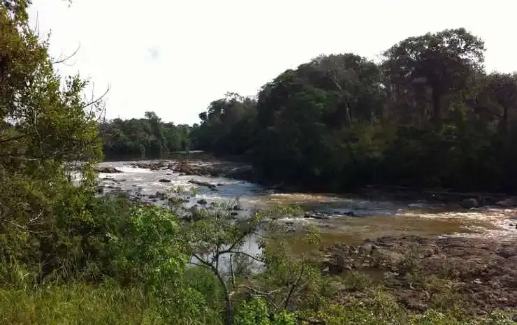 Thuy Tien Ecolodge