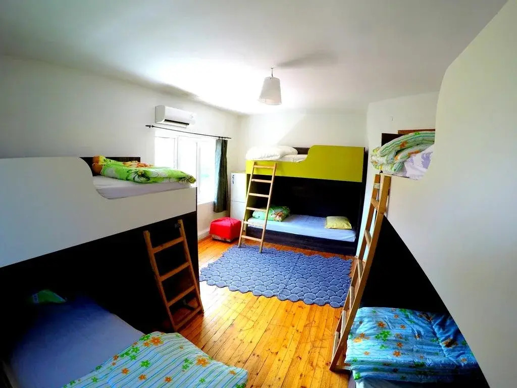Funky Monkey Hostel