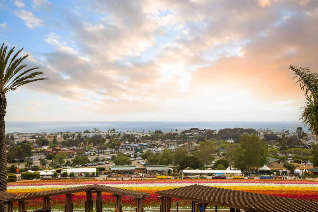 Grand Pacific Palisades